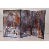 GREETING CARD TRI FOLD Hawk Spirit